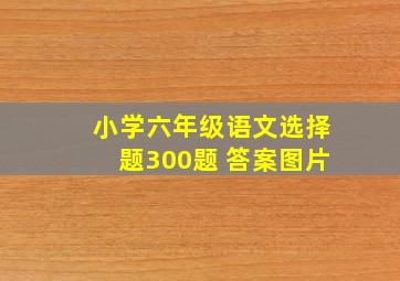 小学六年级语文选择题300题 答案图片